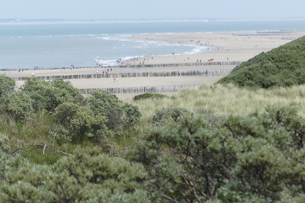 Uitzicht vanaf de duinen over het brede strand van Domburg met de strandhoofden in zee